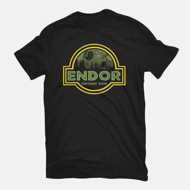 Endor Park-Womens-Basic-Tee-turborat14