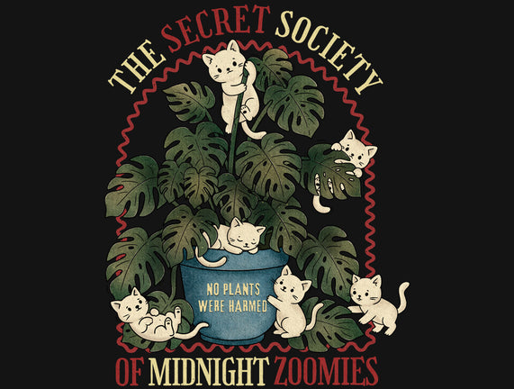 The Secret Society Of Midnight Zoomies