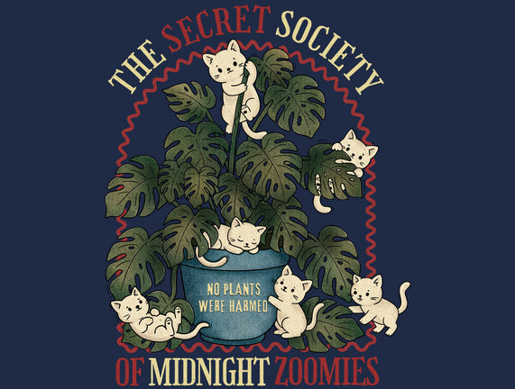 The Secret Society Of Midnight Zoomies