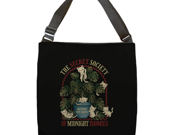 The Secret Society Of Midnight Zoomies