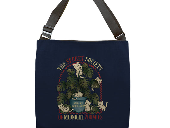 The Secret Society Of Midnight Zoomies
