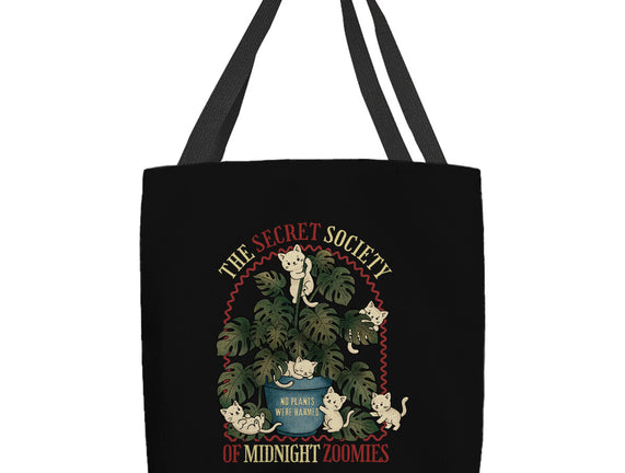 The Secret Society Of Midnight Zoomies