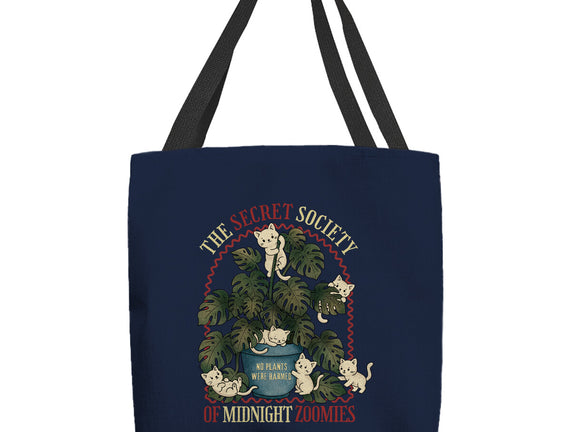 The Secret Society Of Midnight Zoomies