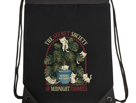 The Secret Society Of Midnight Zoomies