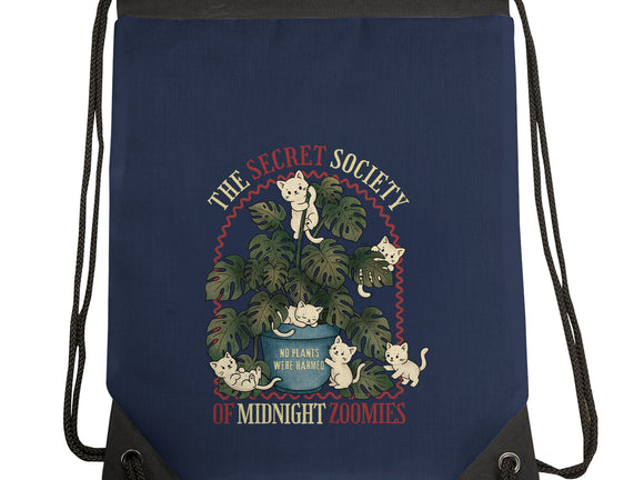The Secret Society Of Midnight Zoomies