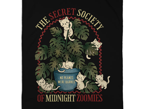 The Secret Society Of Midnight Zoomies
