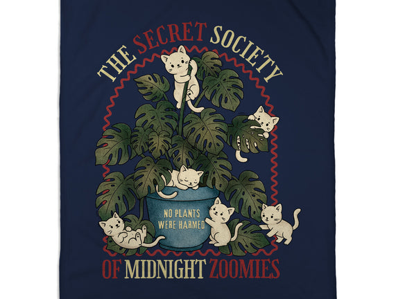The Secret Society Of Midnight Zoomies