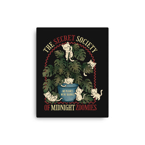 The Secret Society Of Midnight Zoomies