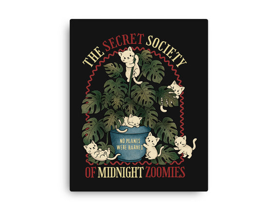 The Secret Society Of Midnight Zoomies