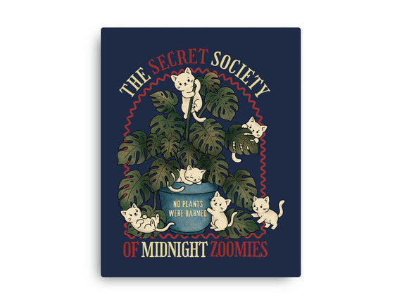 The Secret Society Of Midnight Zoomies
