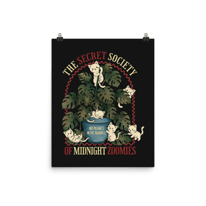 The Secret Society Of Midnight Zoomies