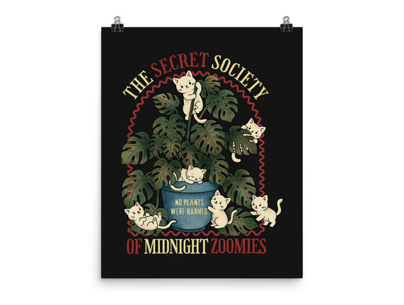 The Secret Society Of Midnight Zoomies