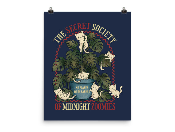 The Secret Society Of Midnight Zoomies