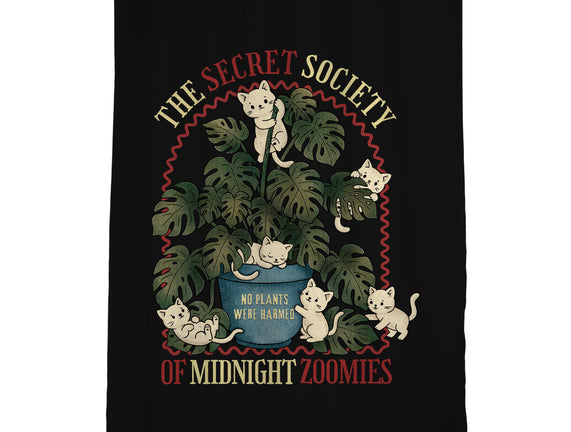 The Secret Society Of Midnight Zoomies