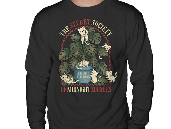 The Secret Society Of Midnight Zoomies
