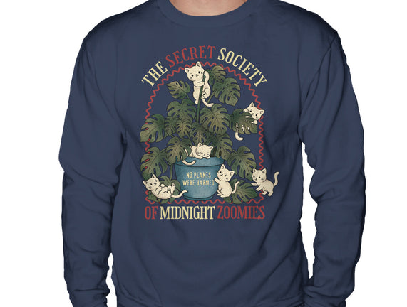 The Secret Society Of Midnight Zoomies