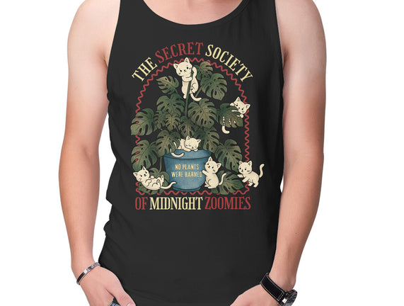 The Secret Society Of Midnight Zoomies