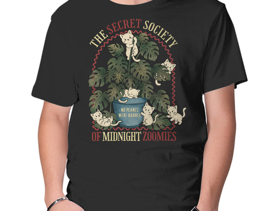 The Secret Society Of Midnight Zoomies