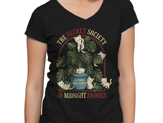 The Secret Society Of Midnight Zoomies