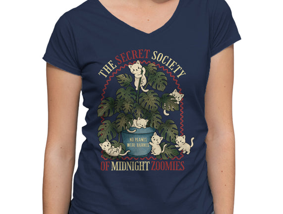 The Secret Society Of Midnight Zoomies
