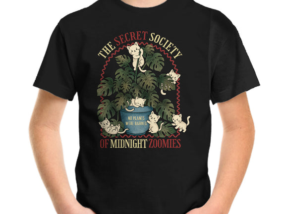 The Secret Society Of Midnight Zoomies