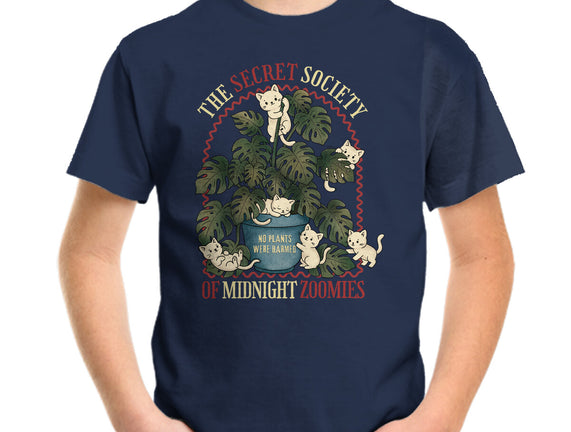 The Secret Society Of Midnight Zoomies