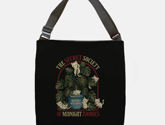 The Secret Society Of Midnight Zoomies
