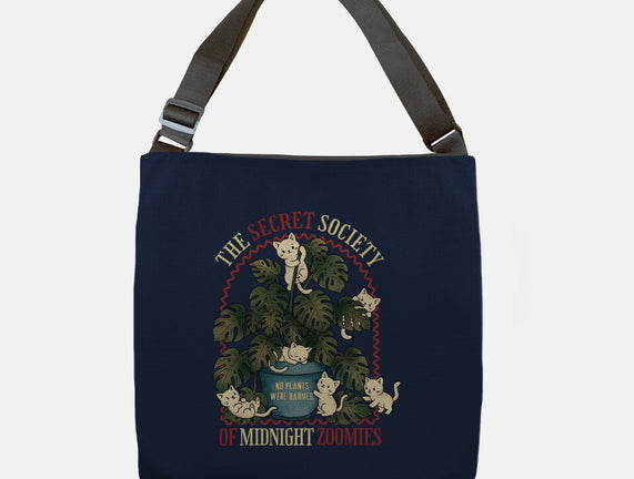 The Secret Society Of Midnight Zoomies