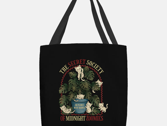 The Secret Society Of Midnight Zoomies