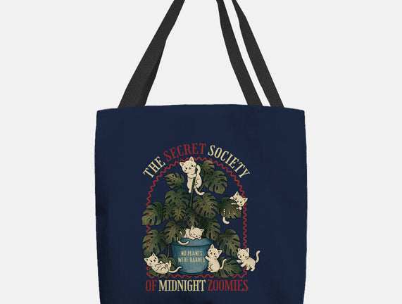 The Secret Society Of Midnight Zoomies