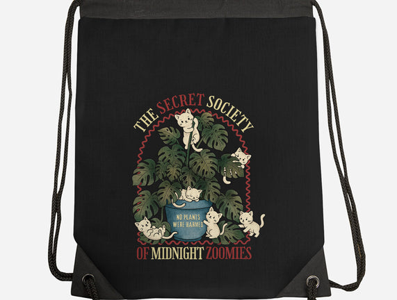 The Secret Society Of Midnight Zoomies
