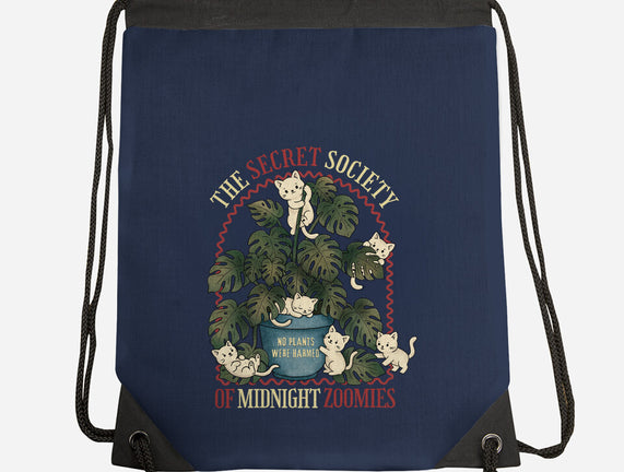 The Secret Society Of Midnight Zoomies