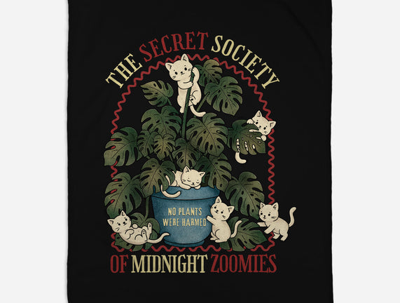 The Secret Society Of Midnight Zoomies