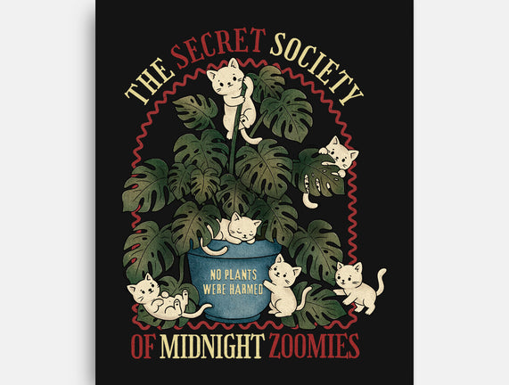 The Secret Society Of Midnight Zoomies