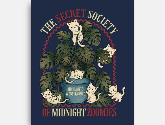 The Secret Society Of Midnight Zoomies