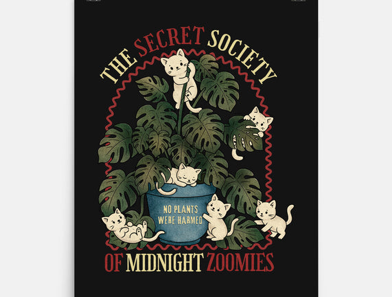 The Secret Society Of Midnight Zoomies