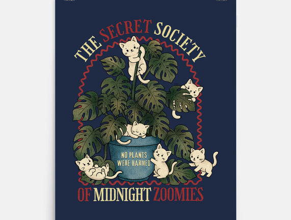 The Secret Society Of Midnight Zoomies