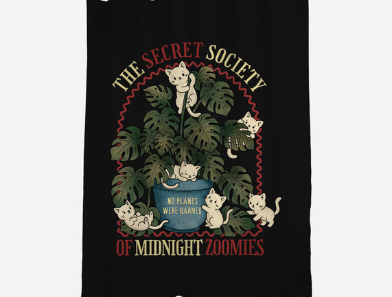 The Secret Society Of Midnight Zoomies