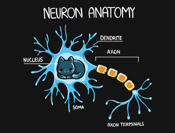 Neuron Cat