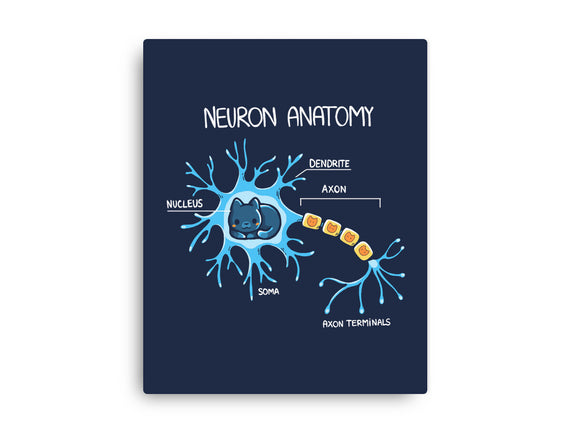 Neuron Cat