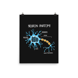 Neuron Cat