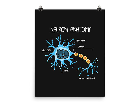 Neuron Cat