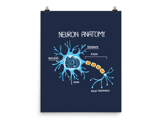 Neuron Cat