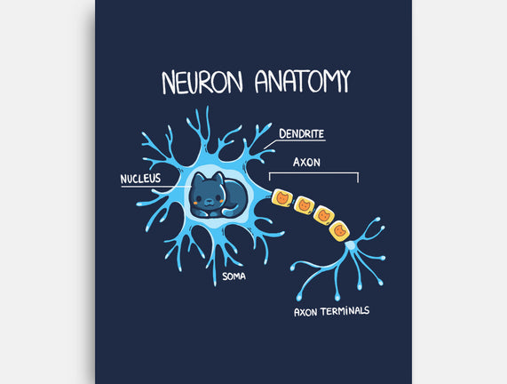 Neuron Cat