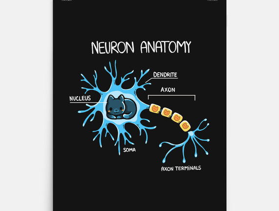 Neuron Cat