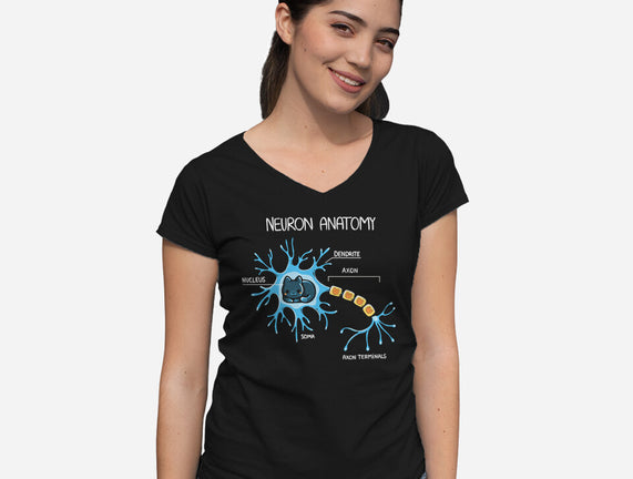 Neuron Cat