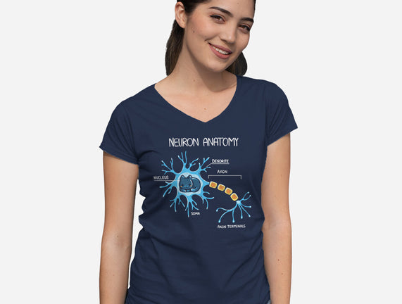 Neuron Cat
