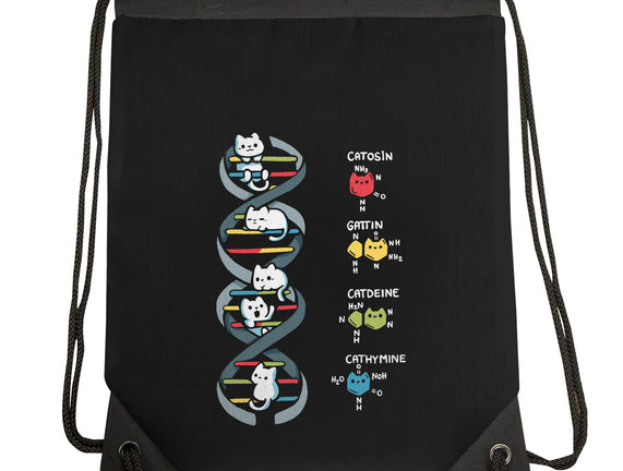Dna Kitten