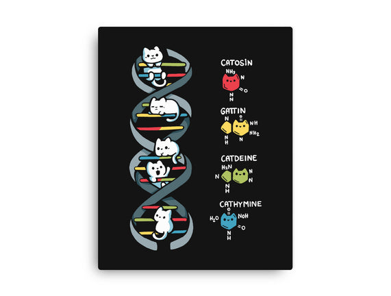 Dna Kitten