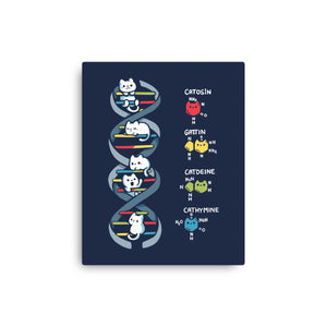 Dna Kitten